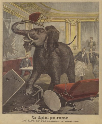 An Elephant on the Rampage in a Toulouse Cafe by French School